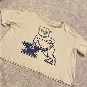 ‼️YALE‼️